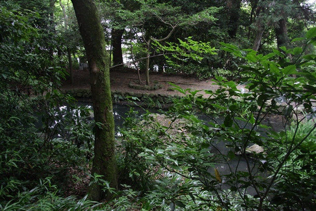 生駒山 姥ヶ池