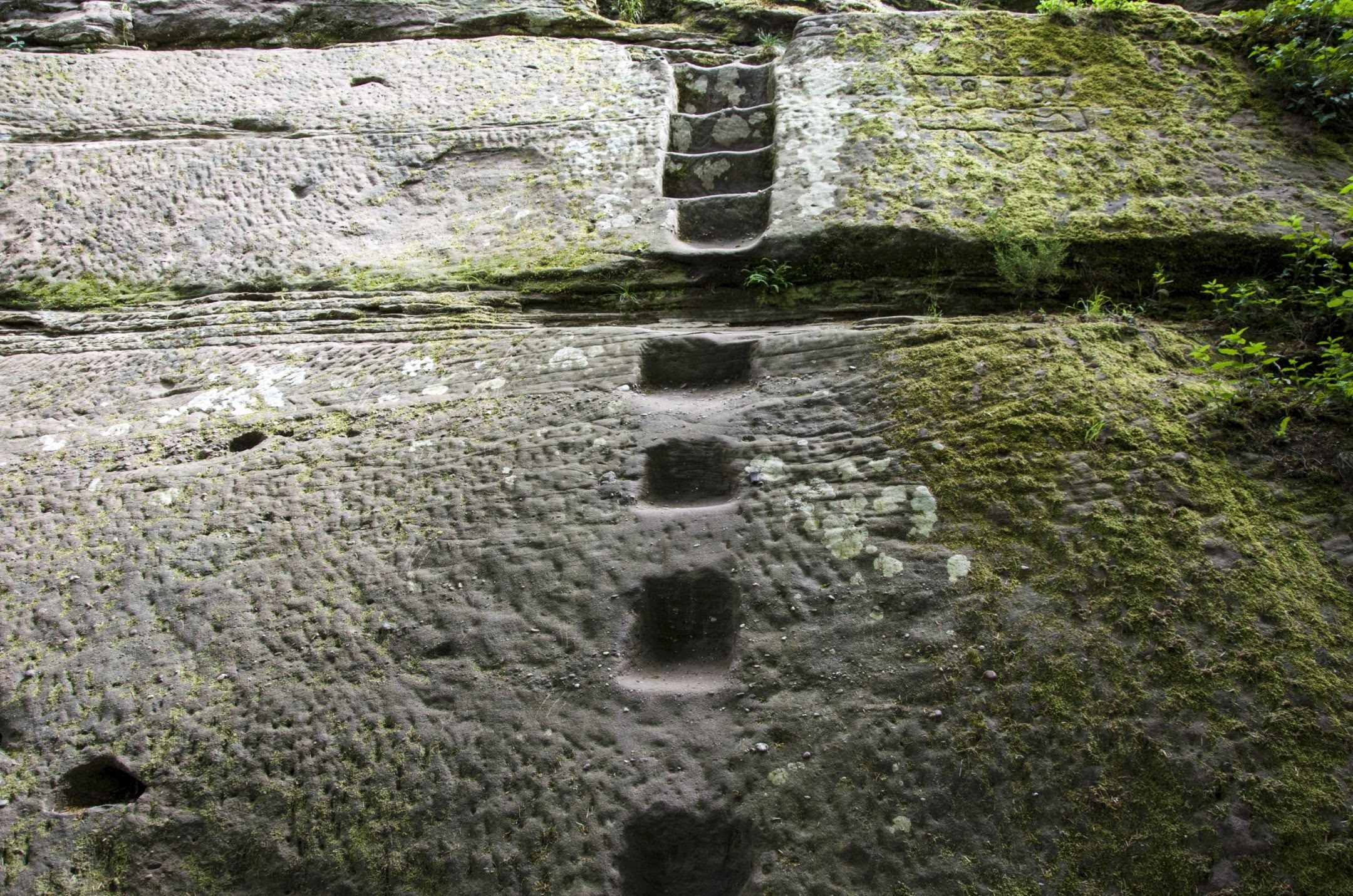 Photo n° 4 de l'avis de Nikkö. fait le 21/05/2020 à 06:32