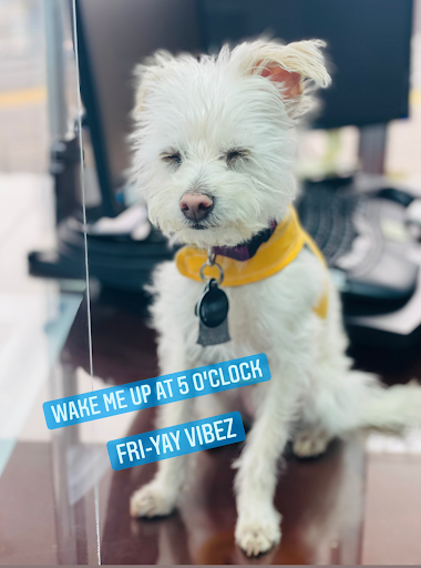 Insurance Agency «Farmers Insurance - Natalie Mercado», reviews and photos