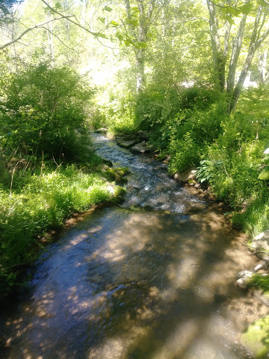 Gift Shop «Stonehedge Gardens», reviews and photos, 51 Dairy Rd, Tamaqua, PA 18252, USA