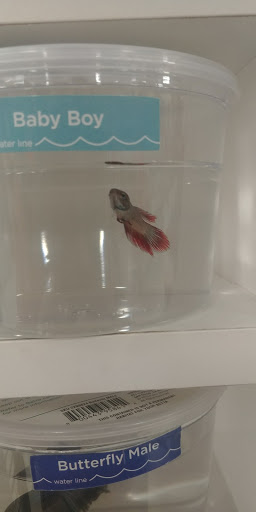 Pet Supply Store «Petco Animal Supplies», reviews and photos, 8775 SW Tualatin-Sherwood Rd, Tualatin, OR 97062, USA