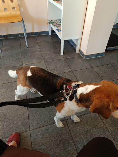 Veterinary practice Verena Staudt unter Kriftel, Hessen