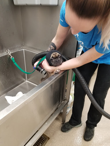 Pet Supply Store «Petco Animal Supplies», reviews and photos, 5481 Lone Tree Way, Brentwood, CA 94513, USA