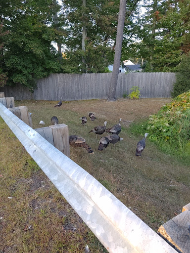 Marine Supply Store «West Marine», reviews and photos, 337 Lafayette Rd, Seabrook, NH 03874, USA