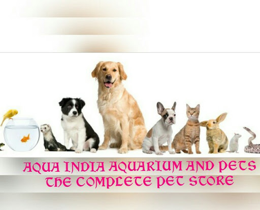 Aqua India Aquarium & Pets