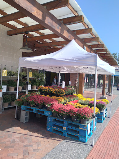 Grocery Store «Whole Foods Market», reviews and photos, 12080 Jefferson Ave #100, Newport News, VA 23606, USA