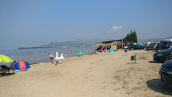 Delta beach'in fotoğrafı doğal alan içinde bulunmaktadır