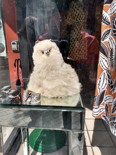 Clothing Store «Petrune», reviews and photos, 126 E State St, Ithaca, NY 14850, USA