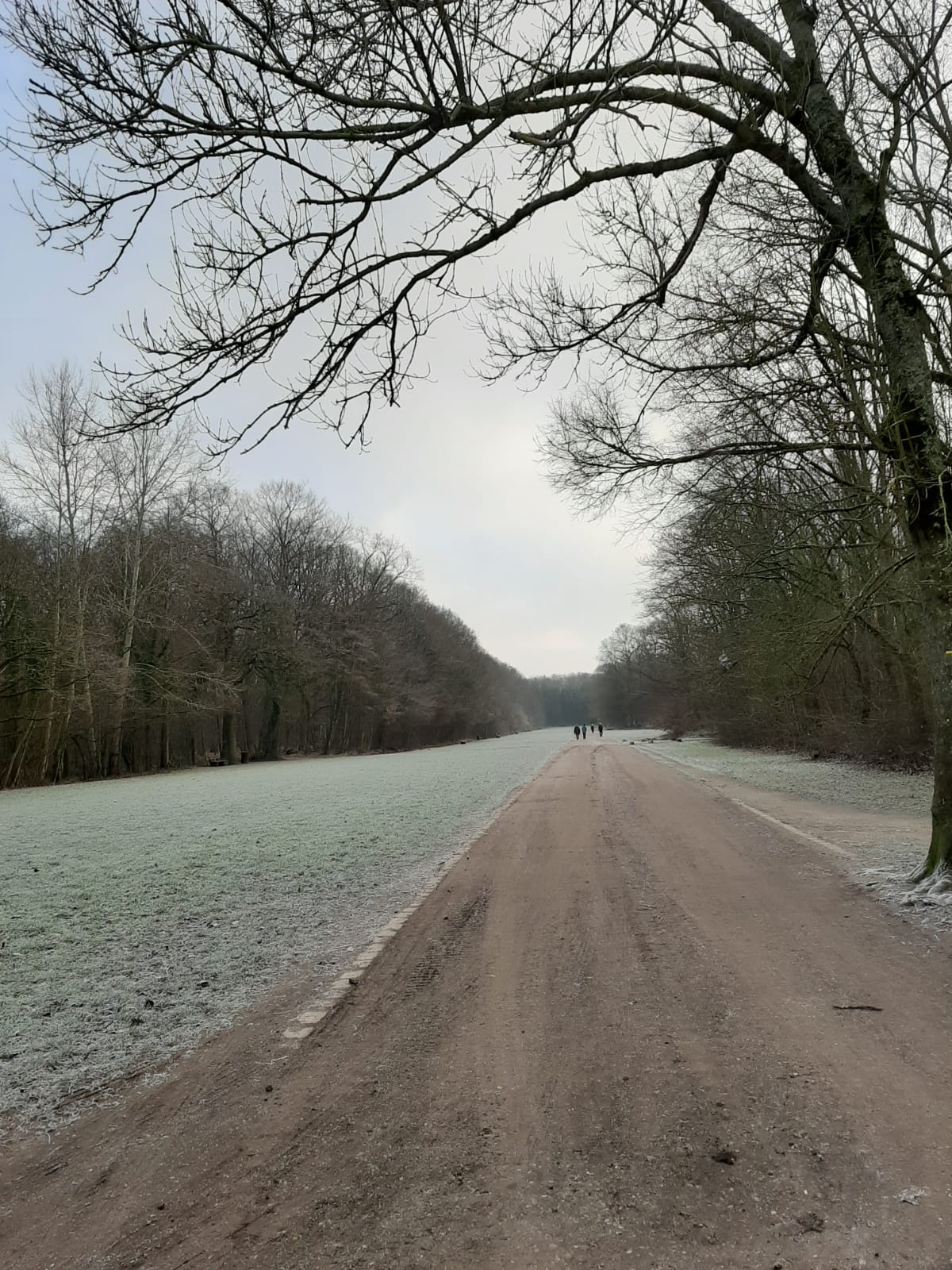 Photo n° 3 de l'avis de Hélène. fait le 04/01/2019 à 21:34