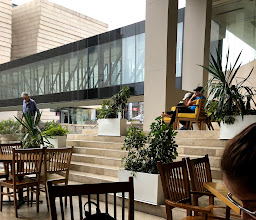 Café del Museo photo