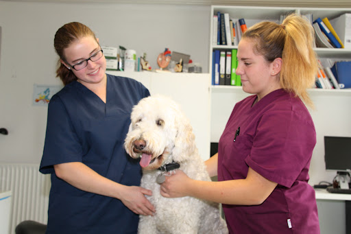 Dr. vet. Inge Madeisky unter Buxtehude, 