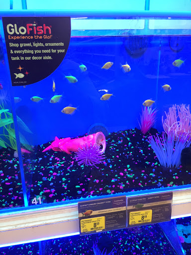 Pet Supply Store «PetSmart», reviews and photos, 4429 Pecanland Mall Dr, Monroe, LA 71203, USA