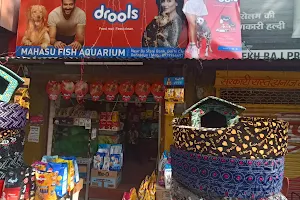 Mahasu Fish Aquarium image