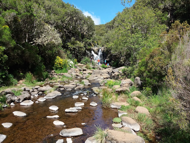 Levadas Madeira | Walking in levadas Madeira Guide - Booking levadas Número de telefone