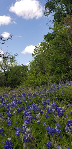 Nature Preserve «Cedar Mountain Nature Preserve», reviews and photos, 1300 Farm to Market 1382, Cedar Hill, TX 75104, USA