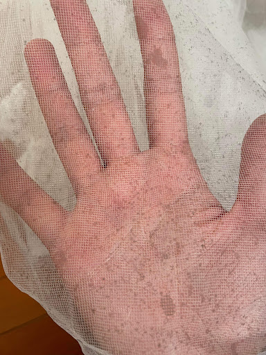 Dry Cleaner «Ocean Dry Cleaning», reviews and photos, 2030 Ocean Ave, San Francisco, CA 94127, USA