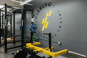 DiSalvo Performance Training image