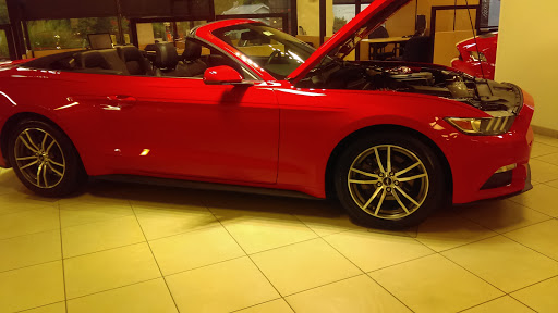 Ford Dealer «Paul Cerame Ford», reviews and photos, 11400 New Halls Ferry Road, Florissant, MO 63033, USA