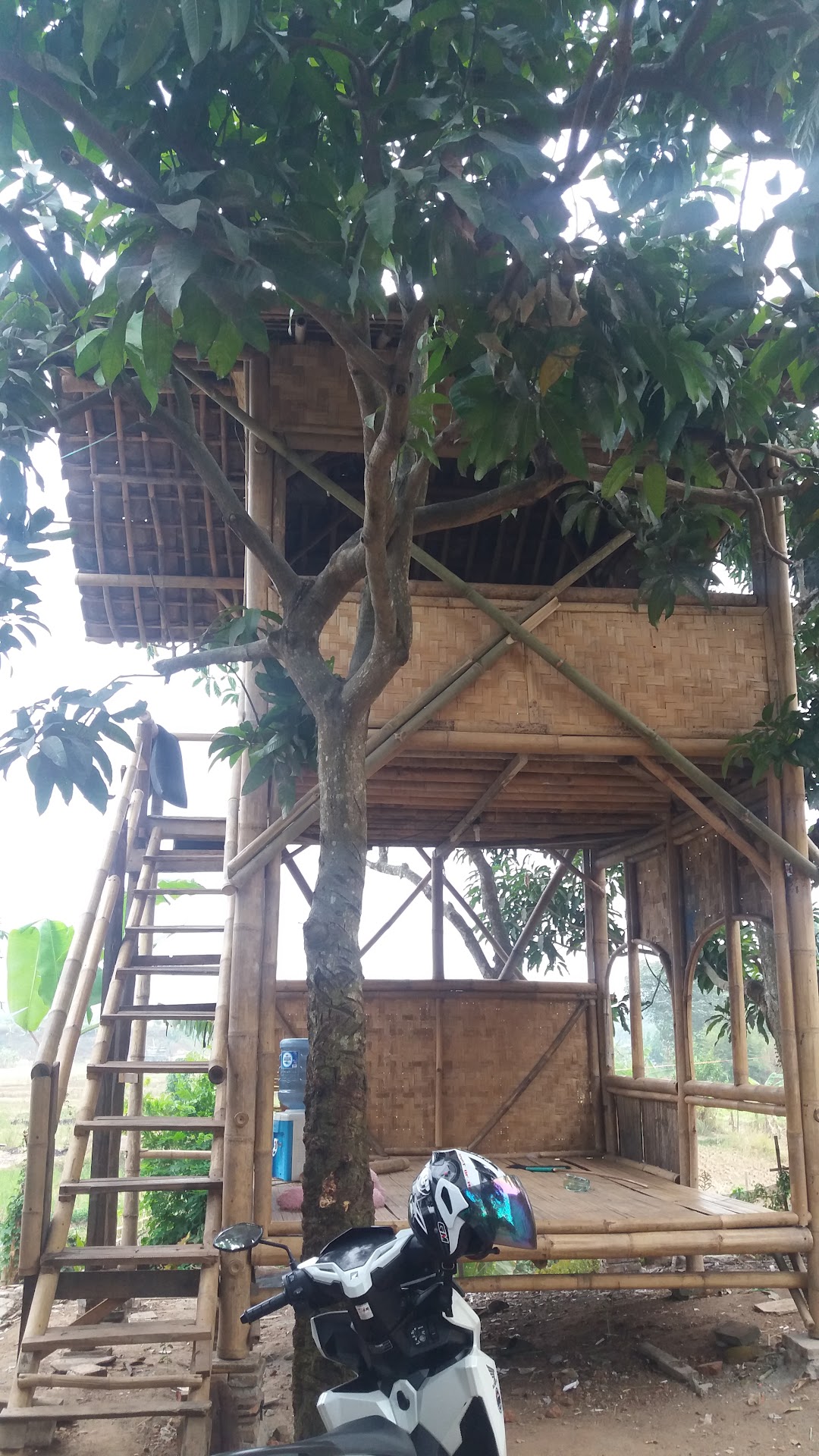 Saung Bujang