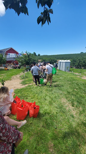 Produce Market «Washington Fruit Place At Barrett Orchards», reviews and photos, 1209 Pecks Canyon Rd, Yakima, WA 98908, USA