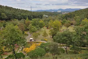 Yeoju Hwanghaksan Arboretum image