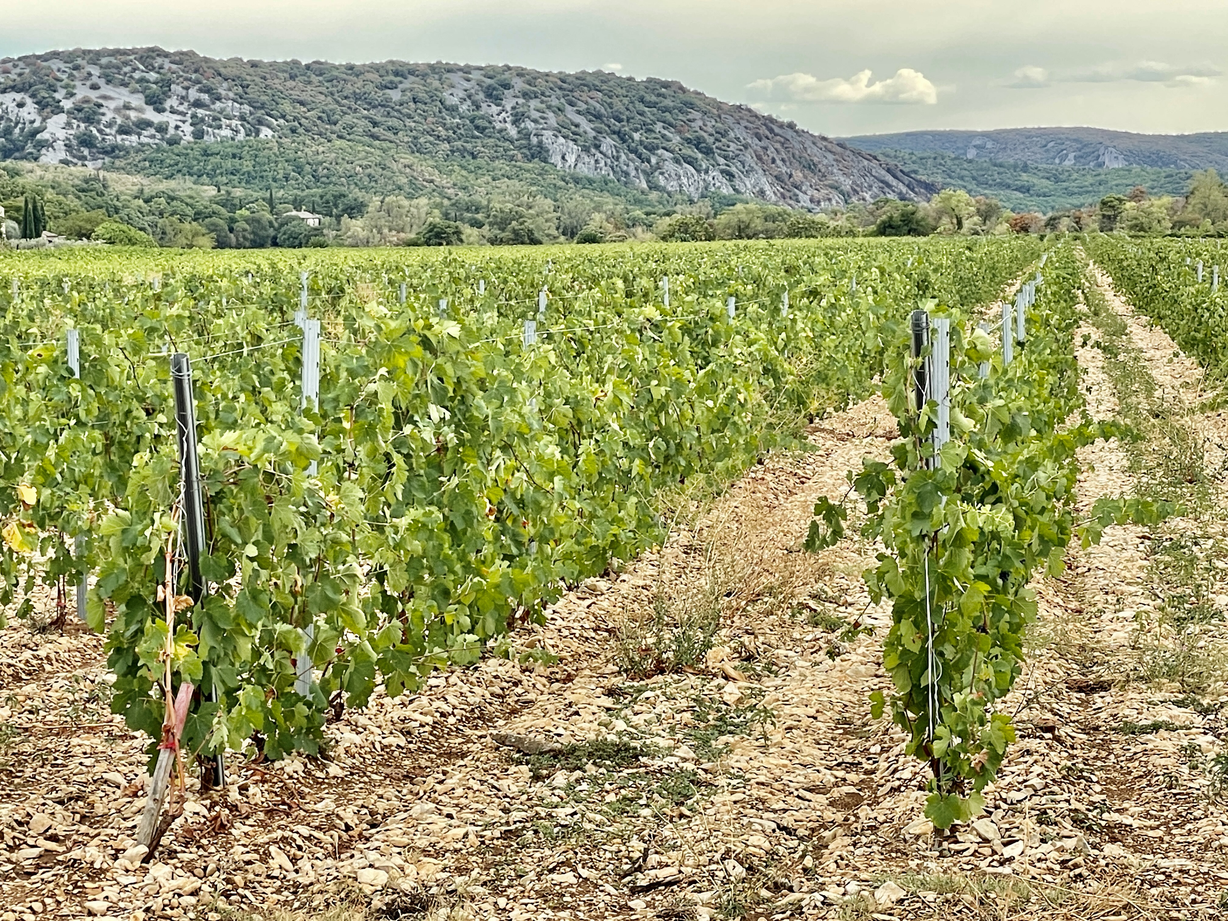 Photo n° 8 de l'avis de Thierry.a fait le 19/08/2022 à 11:38