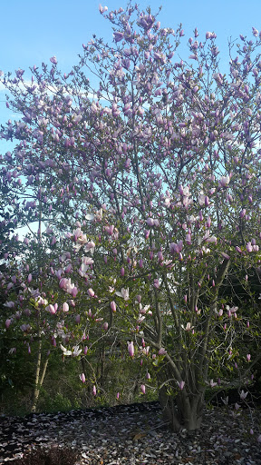 Hotel «DoubleTree by Hilton Hotel Tinton Falls - Eatontown», reviews and photos, 700 Hope Rd, Eatontown, NJ 07724, USA