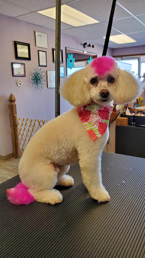 Sunny Dayz Grooming Salon