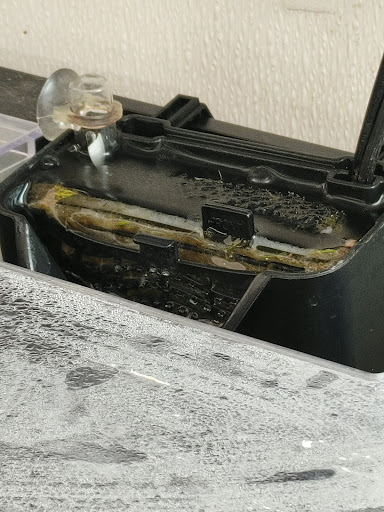 Pet Supply Store «Petco Animal Supplies», reviews and photos, 3270 N Pleasantburg Dr, Greenville, SC 29609, USA