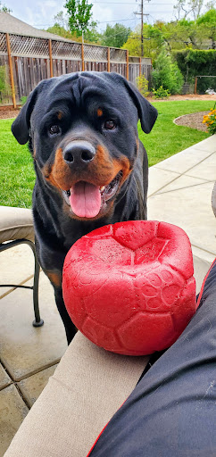 Pet Supply Store «Pet Food Express», reviews and photos, 1768 Miramonte Ave, Mountain View, CA 94040, USA