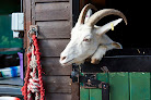 Kentish Town City Farm