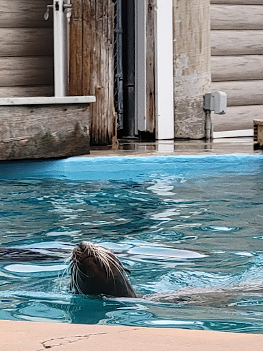 Zoo «Oceans of Fun», reviews and photos, 10001 W Bluemound Rd, Milwaukee, WI 53226, USA