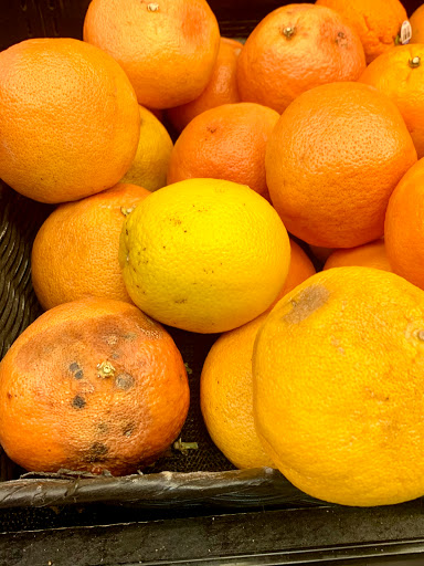 Grocery Store «Foodtown of Shickshinny», reviews and photos, 5 Mountain Mall, Shickshinny, PA 18655, USA