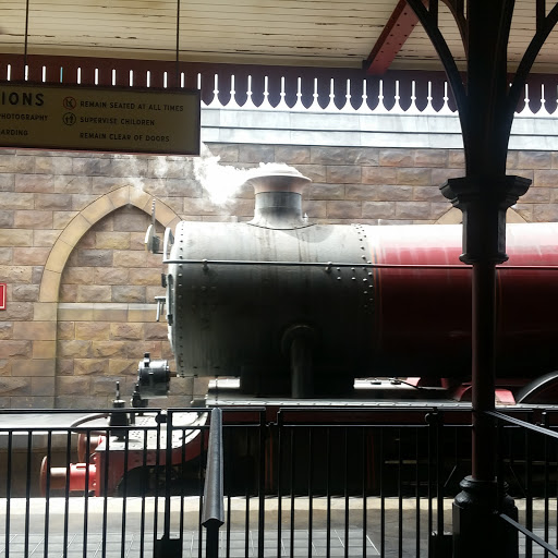 Roller Coaster «Dragon Challenge», reviews and photos, 6000 Universal Blvd, Orlando, FL 32819, USA