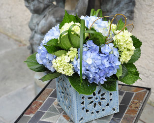 Florist «Polites Florist», reviews and photos, 443 Baltimore Pike, Springfield, PA 19064, USA