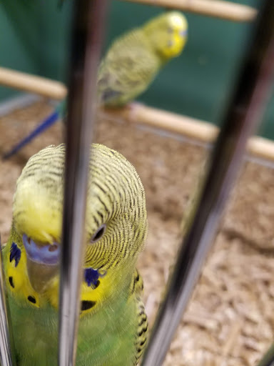 Pet Supply Store «Pet Supplies Plus», reviews and photos, 585 Moseley Rd, Fairport, NY 14450, USA