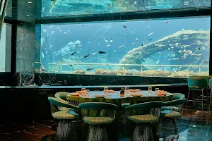 NEMO Restaurant & Lounge image
