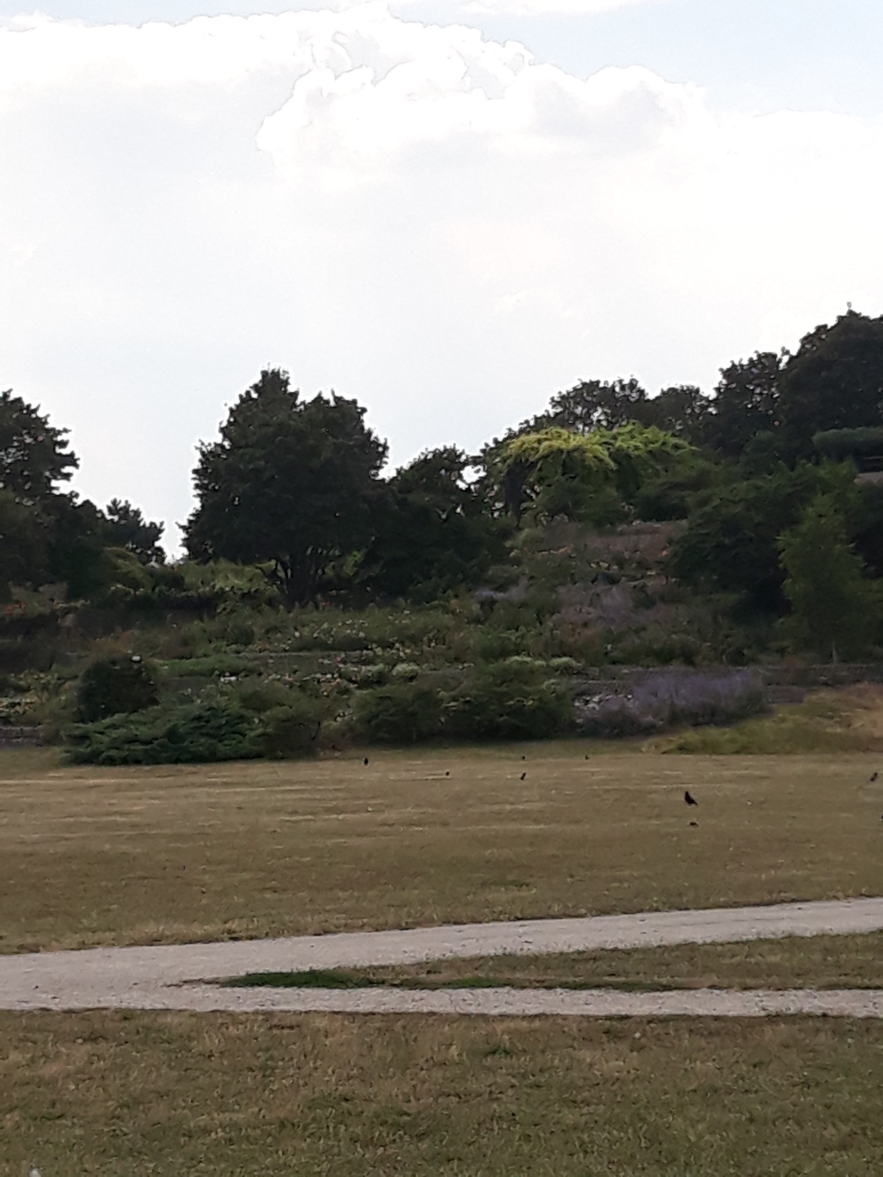 Photo n° 7 de l'avis de IG.i fait le 23/07/2018 à 05:11