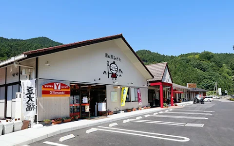 Roadside station Mikawa image