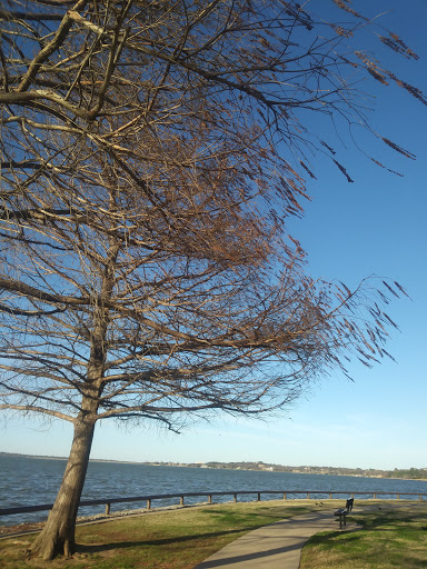 Park «Bowman Springs Park», reviews and photos, 7003 W Poly Webb Rd, Arlington, TX 76016, USA