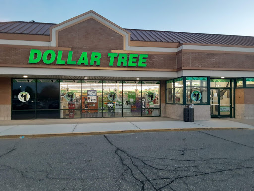 Dollar Store «Dollar Tree», reviews and photos, 40756 Ryan Rd, Sterling Heights, MI 48310, USA