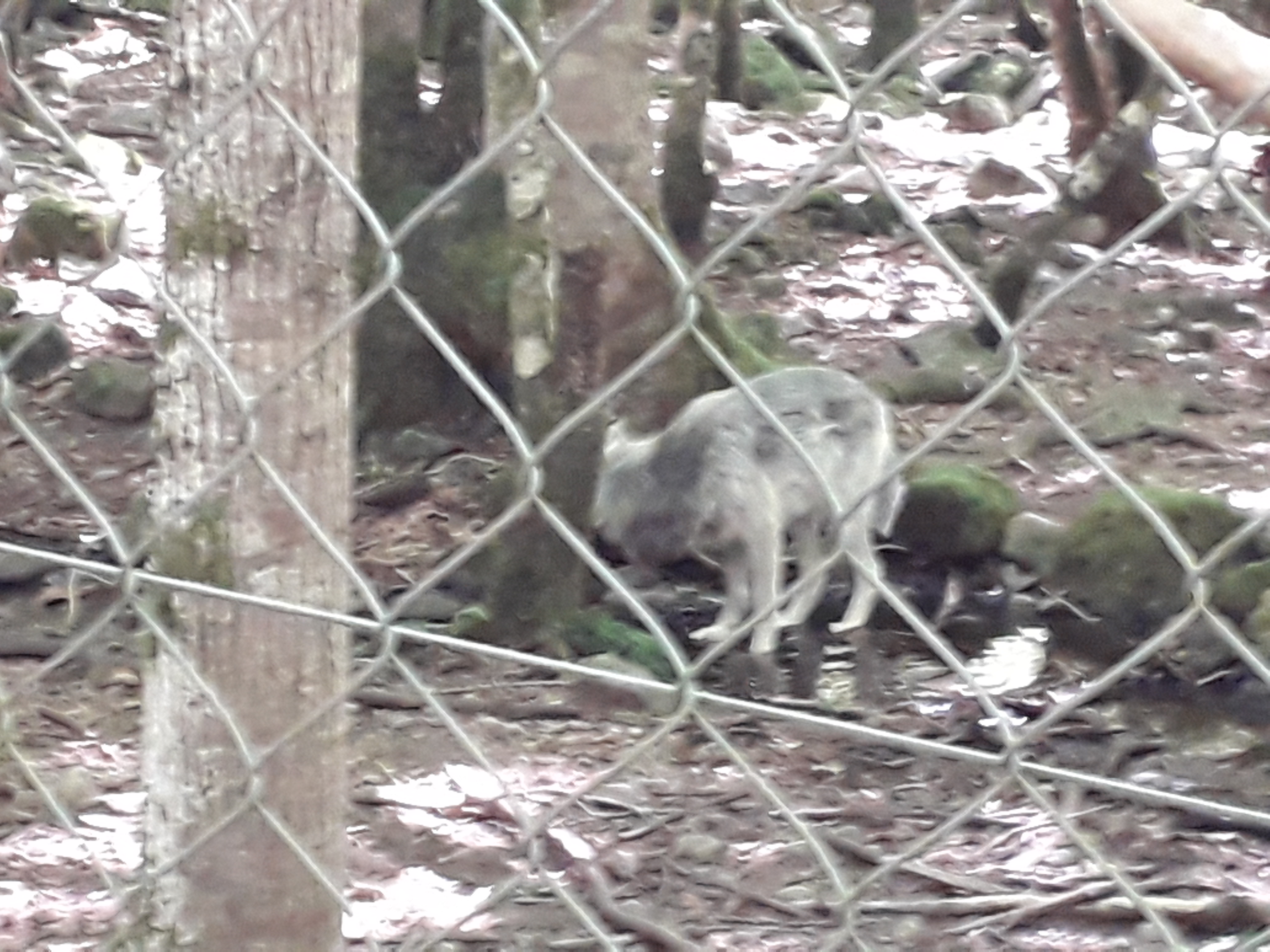 Photo n° 4 de l'avis de Franck.i fait le 19/07/2020 à 15:45