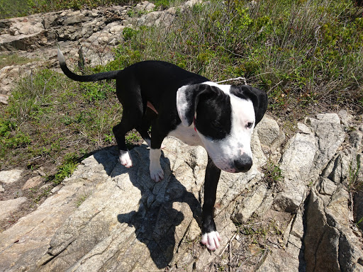 City Park «Lighthouse Point Park», reviews and photos, 2 Lighthouse Rd, New Haven, CT 06512, USA