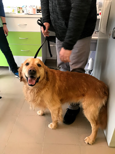 telefon Cabinet Veterinaria Pet Help