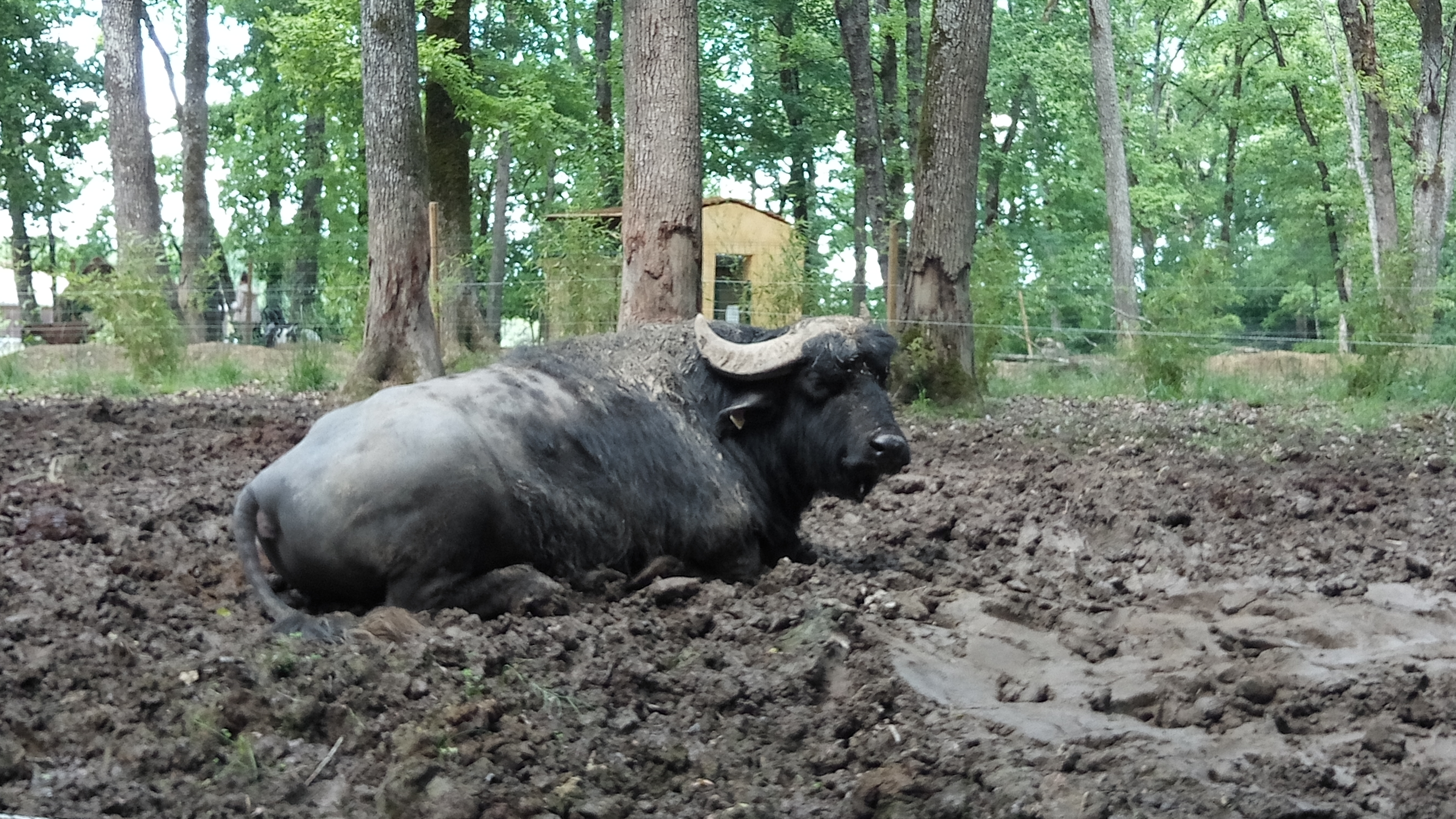 Photo n° 3 de l'avis de Ludovic.A fait le 13/05/2019 à 07:44