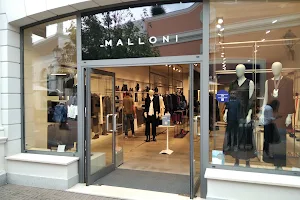 Malloni image