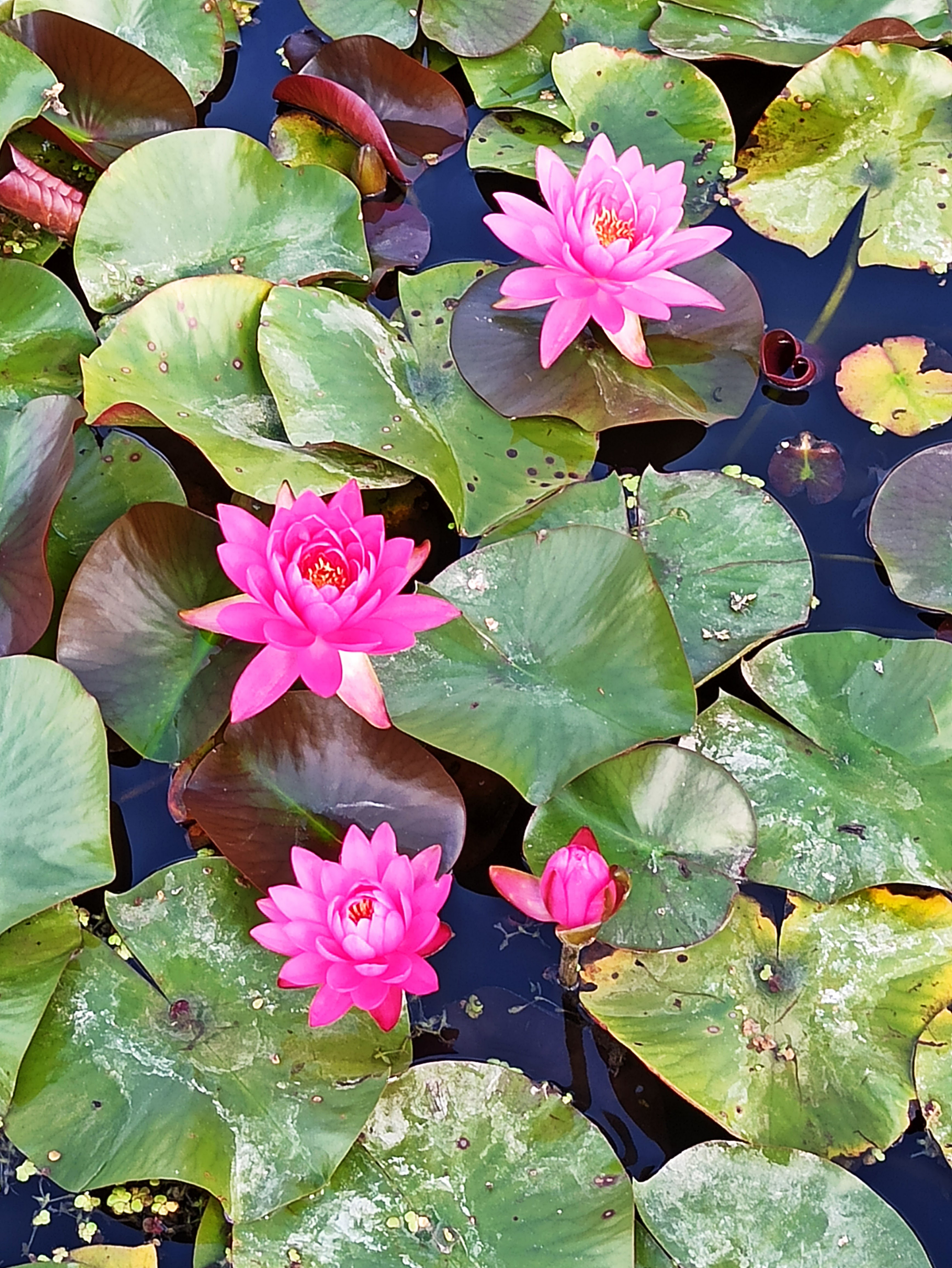 Photo n° 2 de l'avis de Dd.o fait le 22/09/2020 à 13:32