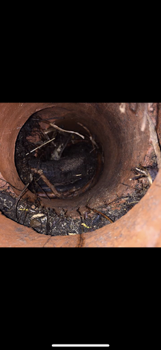 Plumber «Northwest Drain Station, Inc.», reviews and photos, 311 Charlotte Ave, Royal Oak, MI 48073, USA