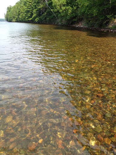 Real Estate Agency «JOLIN-LASIER GROUP | Coldwell Banker, Mulleady Inc. | Minocqua, WI Real Estate | NorthWI.property», reviews and photos, 8262 US-51, Minocqua, WI 54548, USA