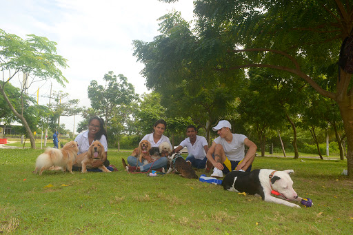 Adiestradores caninos en Barranquilla